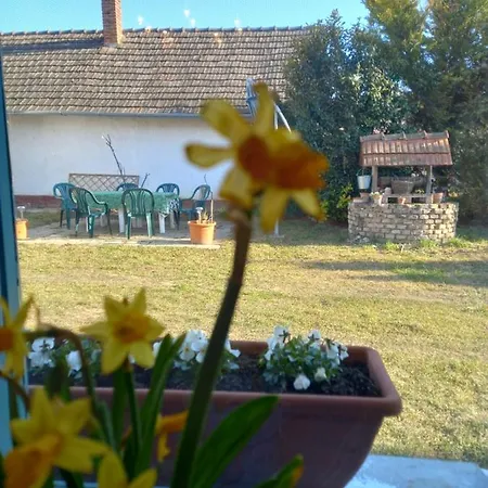 Hortenzia-porta Ordacsehi